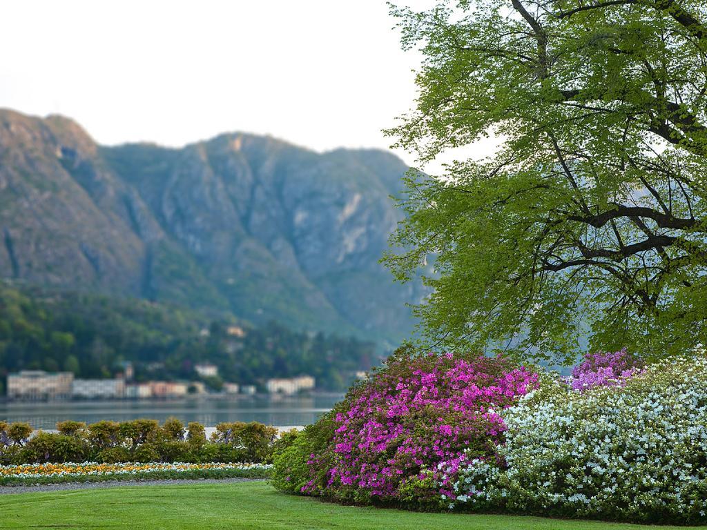 Colibri Lakeview Apartment Bellagio Habitación foto